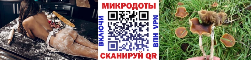 дарнет шоп  omg маркетплейс  Псилоцибиновые грибы мухоморы  Богучар 